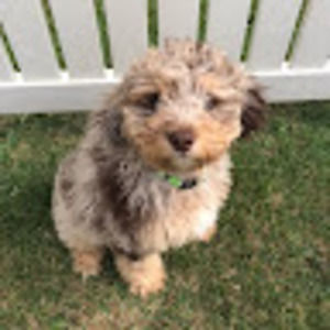 Meet your Posher, Mae